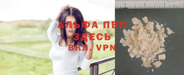 Альфа ПВП Бородино