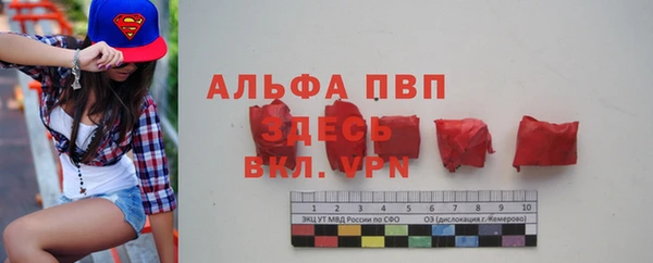 Альфа ПВП Бородино