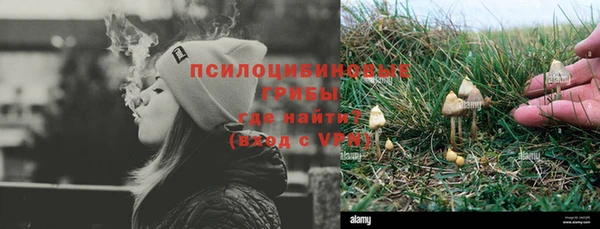 Альфа ПВП Бородино